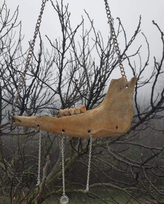 Image of "Sirtir" jawbone necklace