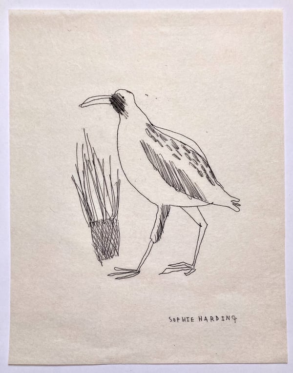 Image of Victorian Bird no.2 monotype