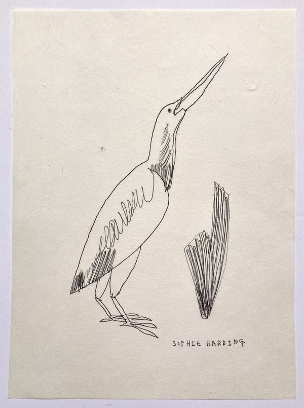 Image of Victorian Bird no.3 monotype 
