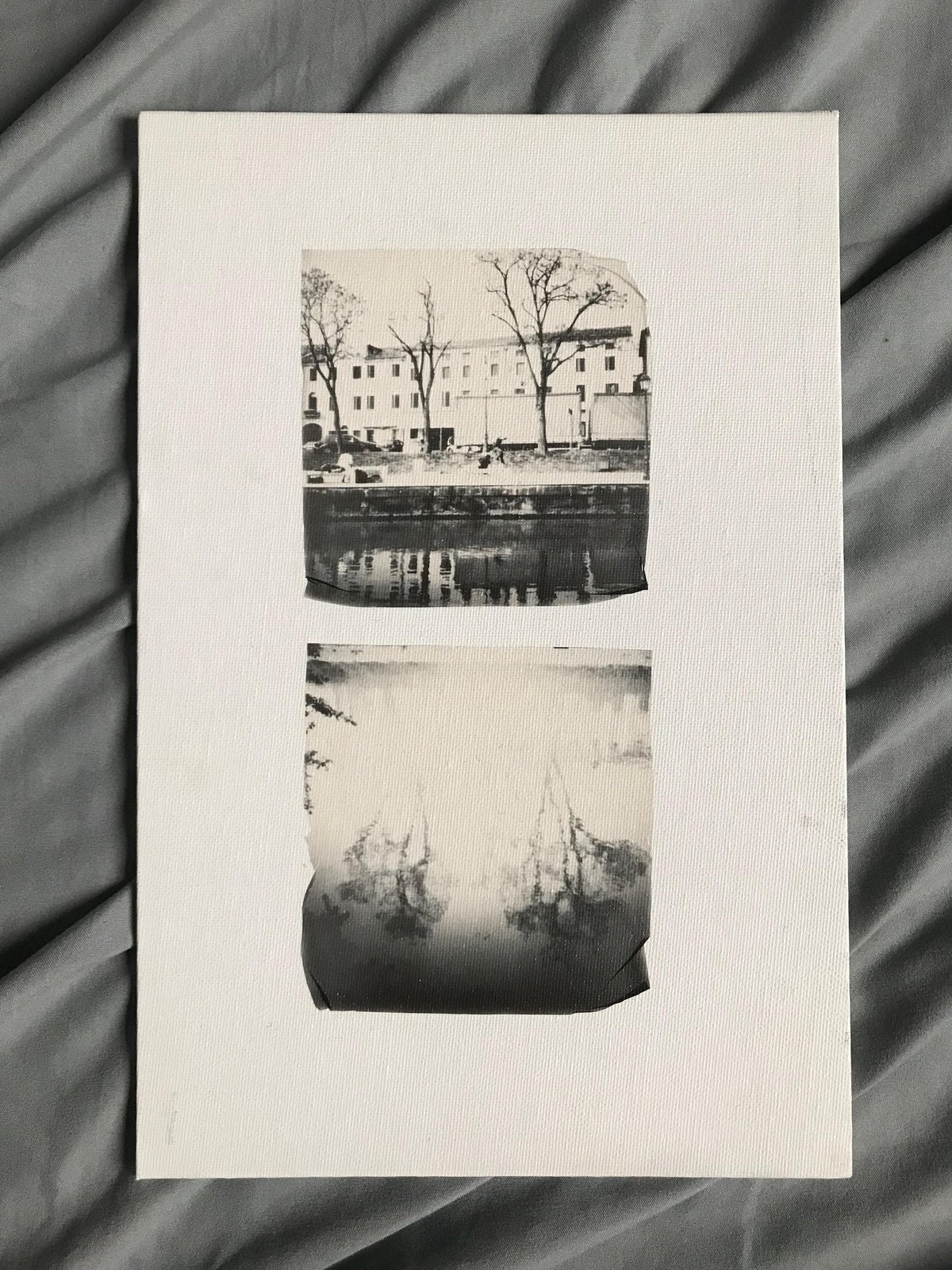 Image of Collage di polaroid Impossible di Beatrice Sugliani