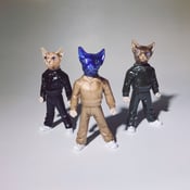 Image of Tracksuit Sphynx