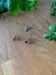 Image of Bee charm bracelet 