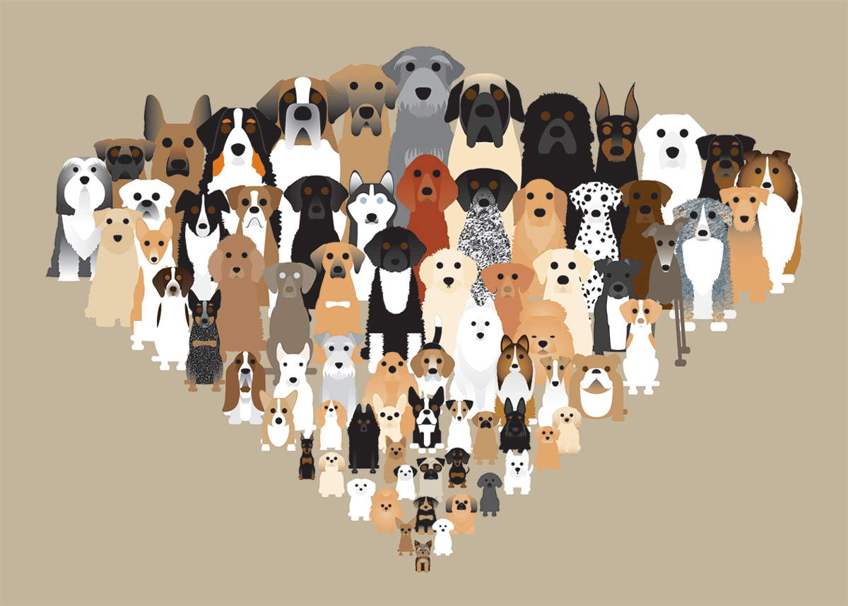 Multi Dogs Collection | marcartshop