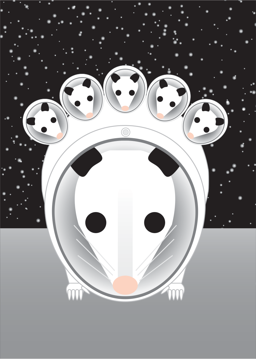 Space Animals Collection