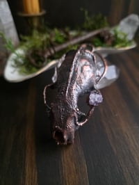 Image 1 of Mink Skull with Amethyst