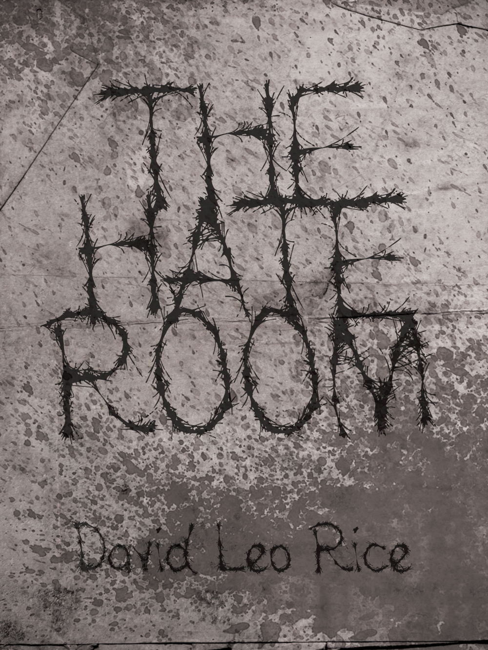 THE HATE ROOM CHAPBOOK by DAVID LEO RICE [OUT NOW!]