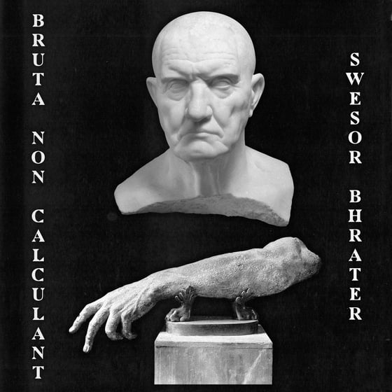 Image of Bruta Non Calculant / Swesor Bhrater - Split EP