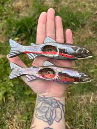 Image 13 of Trout -SECONDS