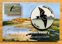 Hilbre Bird Observatory Pin Badge