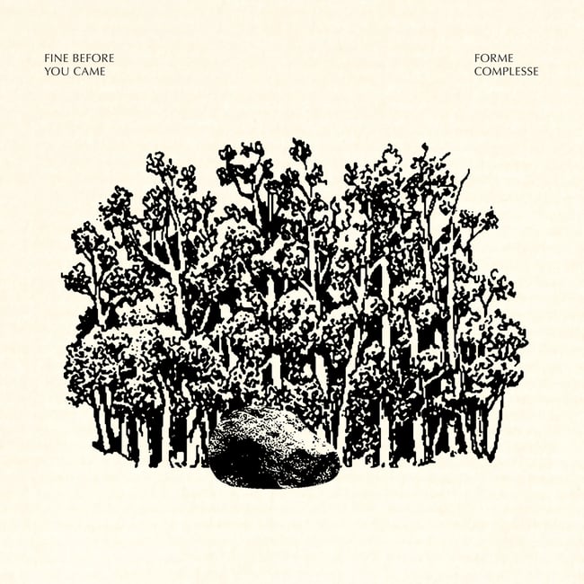 Fine Before You Came: Forme complesse LP/CD