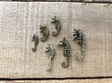 Mummified Pigmy Seahorse, Charm - Bone Skeleton Key