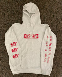 Image 1 of SPY "CONDITIONED" HOODIE - ASH GREY