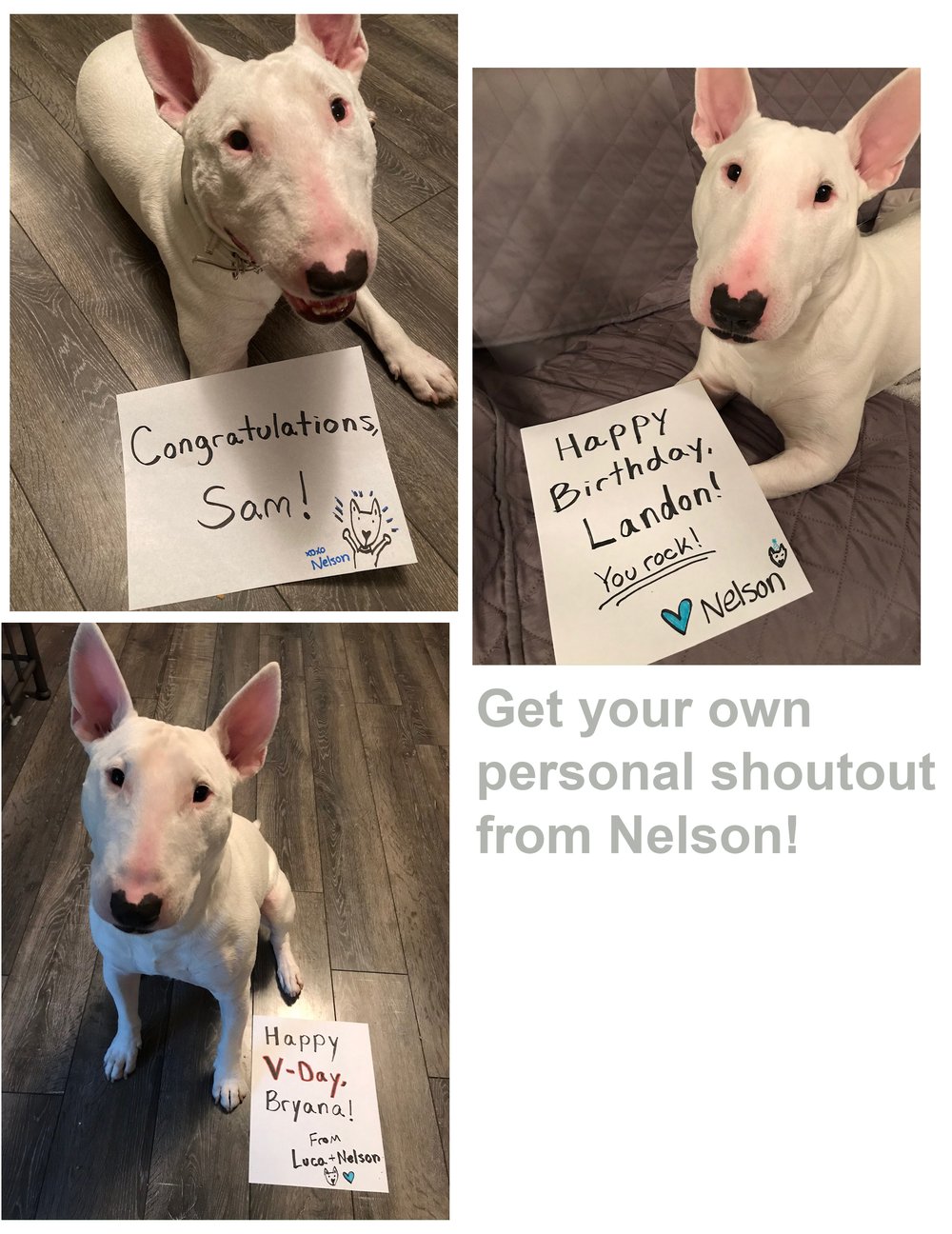 Personal Photo Message from Nelson
