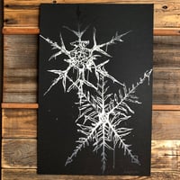 Image 1 of Snowflake Study