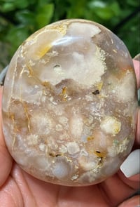 Image 5 of Flower Agate Palm Stone 