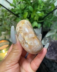 Image 2 of Flower Agate Palm Stone 