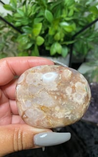 Image 1 of Flower Agate Palm Stone 