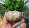 Flower Agate Palm Stone 