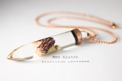 Image of Red Clover (Trifolium pratense) - Large Copper Dipped Pendant