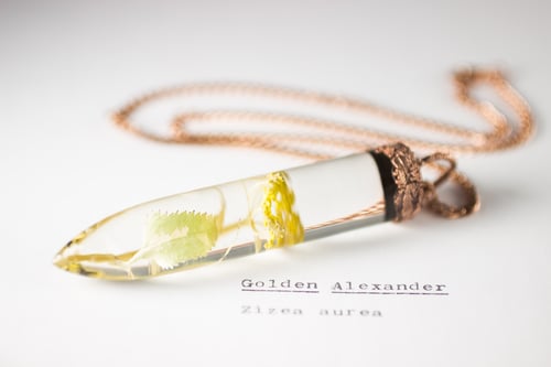 Image of Golden Alexander (Zizia aurea) - Large Copper Dipped Pendant #2