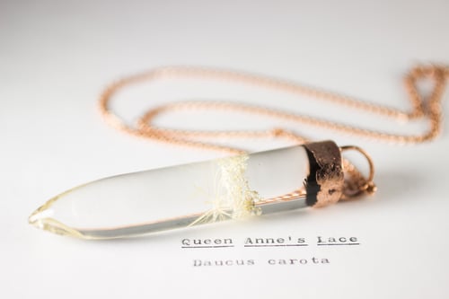 Image of Queen Anne's Lace (Daucus carota) - Large Copper Dipped Pendant