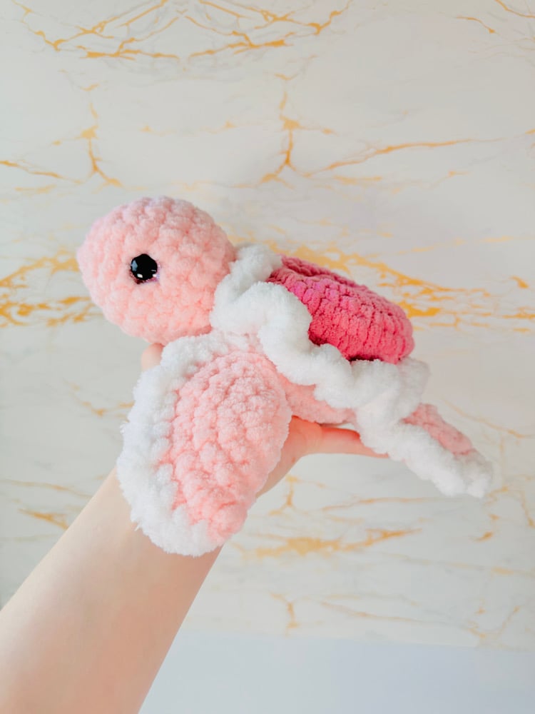 Image of Heart Turtle preorder