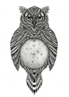 Nocturnal Owl 