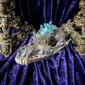 Light blue Aura Quartz - Coyote Skull