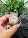 Petrified Wood Spheres 