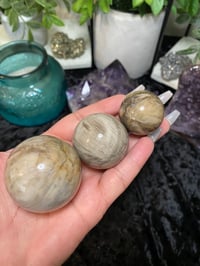 Image 5 of Petrified Wood Spheres 