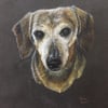 7"x9.5" Custom Pet Portrait- EXAMPLE