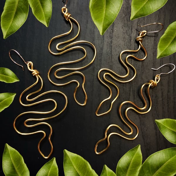 Image of Snake Medicine Earrings 