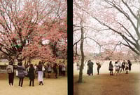 Image 3 of Photo Postcard Bundle 