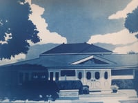 Image 1 of Cat's Eyes Cyanotype