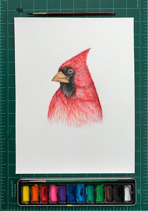 "Cardinal" 1st edition print