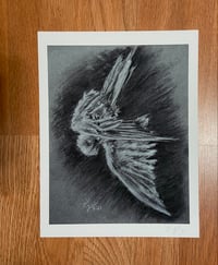 “Icarus Study” Fine Art Print