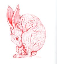 Jack Rabbit Print 