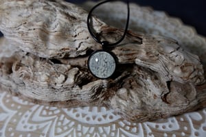 Image of ‘Dessert Snow’ Collection - Veiled Chameleon