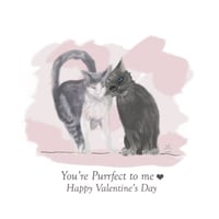 Valentine's Day Card - LOVE - You're Purrfect to me