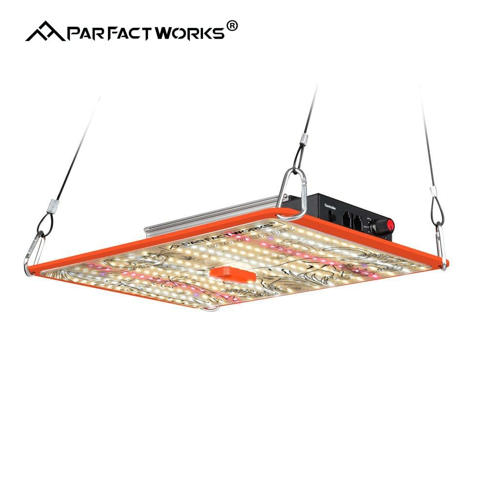 Q-Board PAR1200 PRO