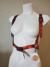 Image 1 of Rightly Regal - Pumpkin (30-34)