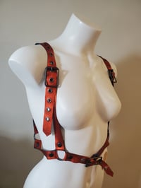 Image 2 of Rightly Regal - Pumpkin (30-34)