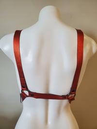 Image 3 of Rightly Regal - Pumpkin (30-34)