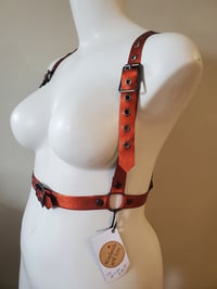 Image 5 of Rightly Regal - Pumpkin (30-34)