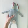 The (Not) Rubbish Rabbit
