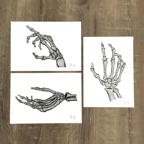 Image of SKELETON HAND #2