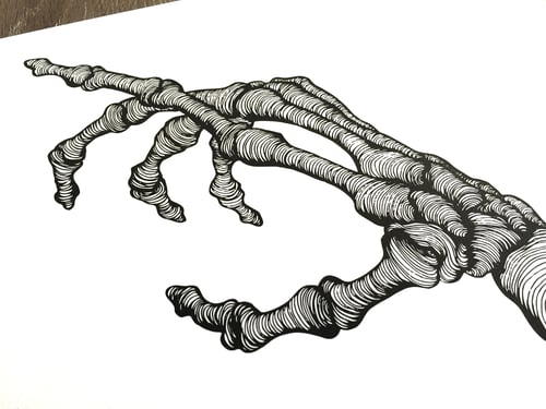 Image of SKELETON HAND #2