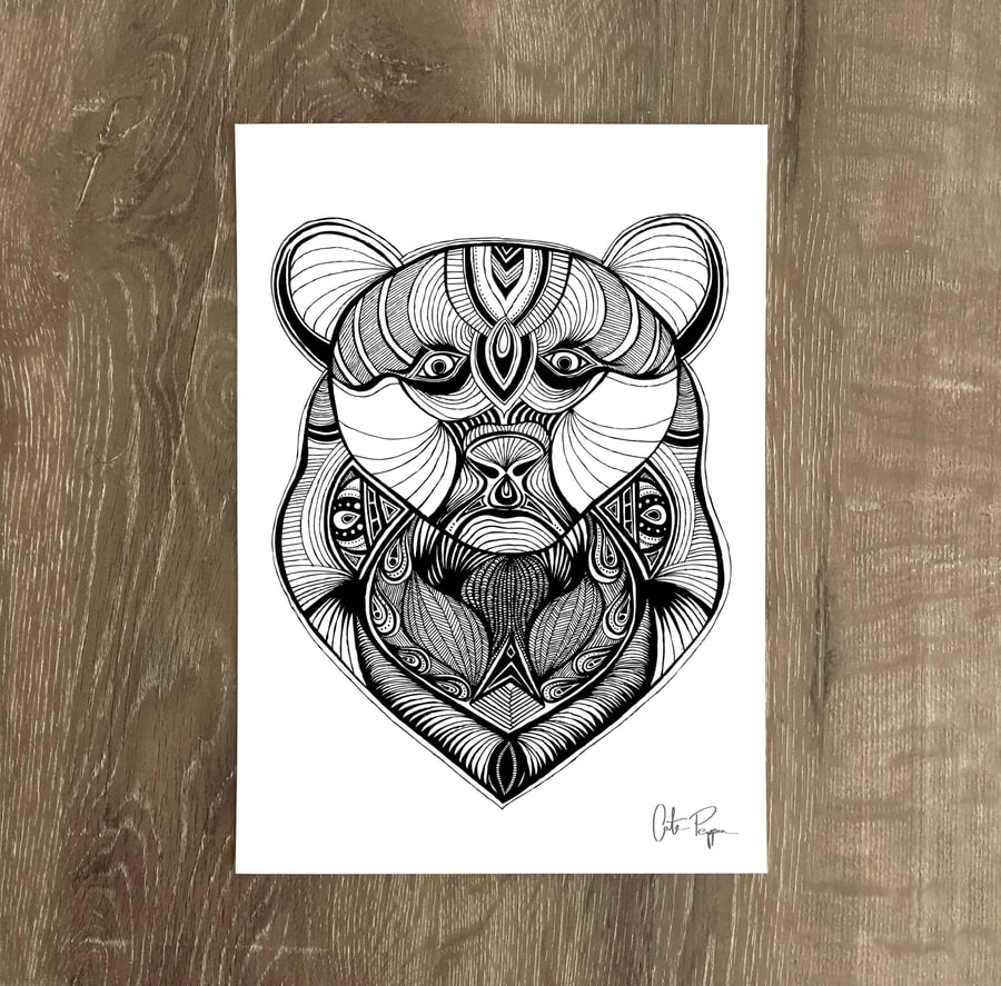Image of BEAR