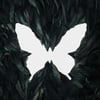 Jung JinHyeong - Soar