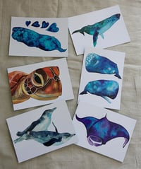 Postcard Set - Ocean Critters